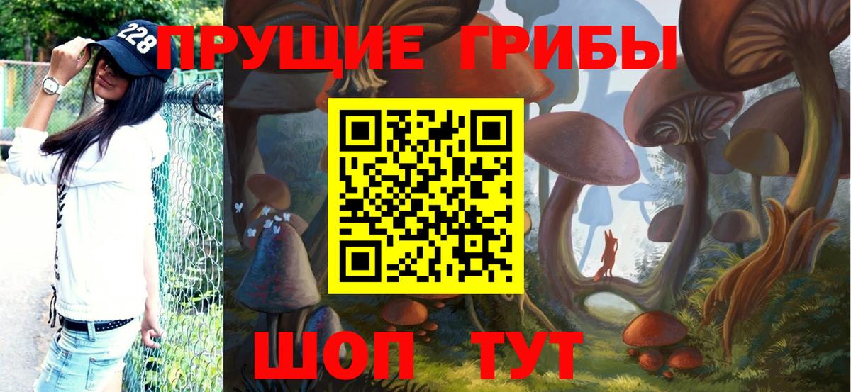 Псилоцибиновые грибы Psilocybine cubensis  цены   Дубна  Вход с VPN 