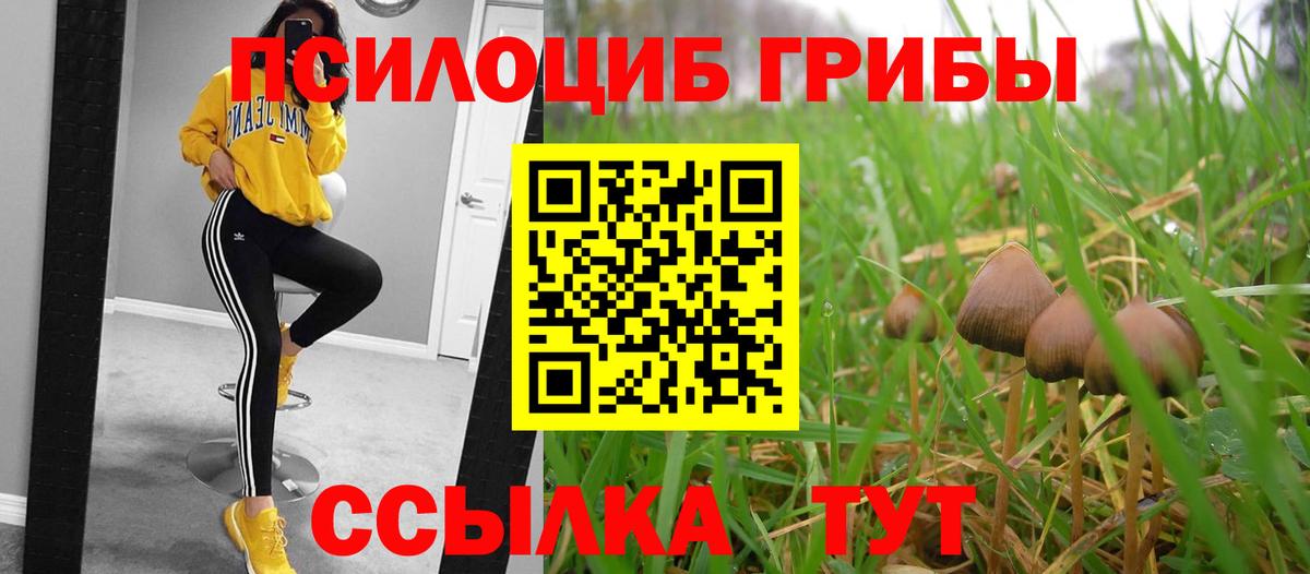 Псилоцибиновые грибы ЛСД Дубна